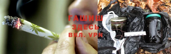 PSILOCYBIN Бородино