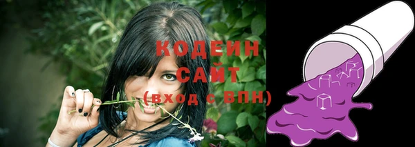 крисы Верея