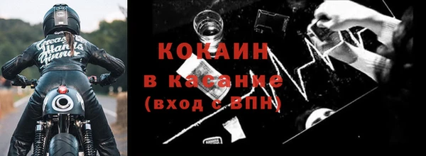 PSILOCYBIN Бородино