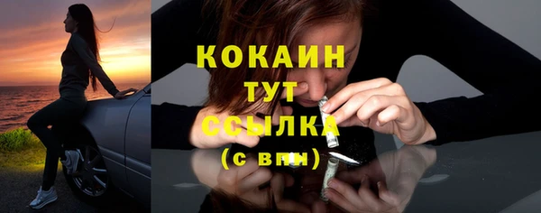 PSILOCYBIN Бородино