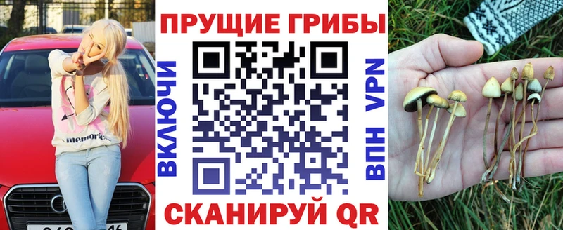 закладка  Нарьян-Мар  Псилоцибиновые грибы ЛСД 